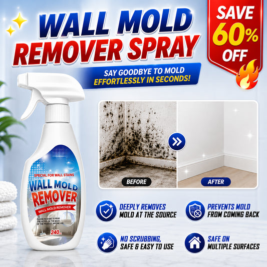 Wall Mold Remover Spray