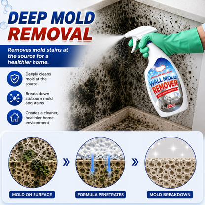 Wall Mold Remover Spray