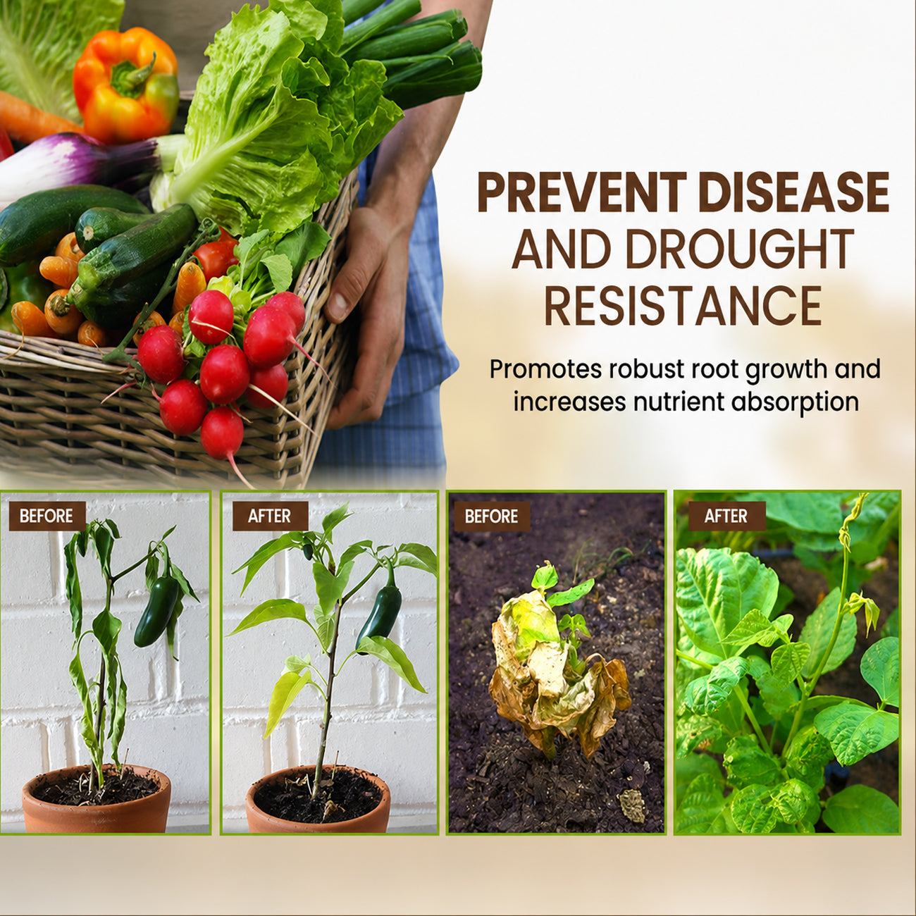 🏆 SAVE 60% OFF TODAY ONLY 🌳Plant Organic Soil Activator - Improve Soil Health & Maximize Plant Growth Naturally