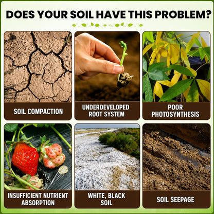🏆 SAVE 60% OFF TODAY ONLY 🌳Plant Organic Soil Activator - Improve Soil Health & Maximize Plant Growth Naturally