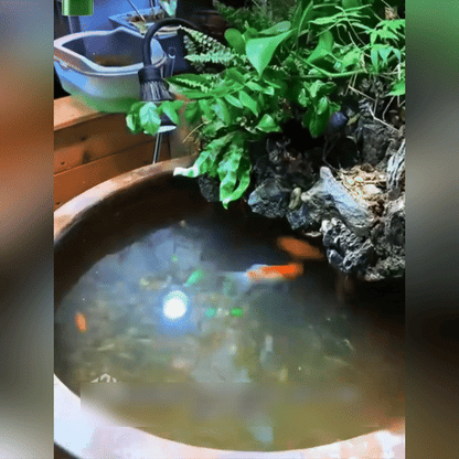 ⚡LAST DAY 60% OFF 🔥 Powerful Aquarium Water Purification Tablets