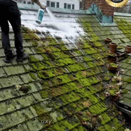 Multi-Surface Roof Moss & Algae Cleaner Spray