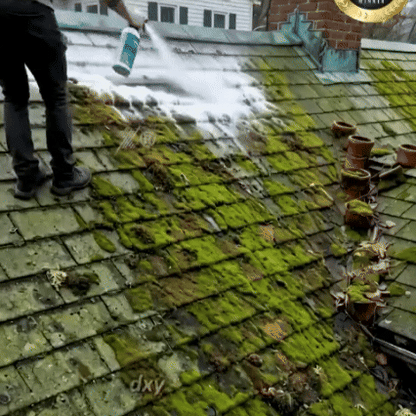 Multi-Surface Roof Moss & Algae Cleaner Spray